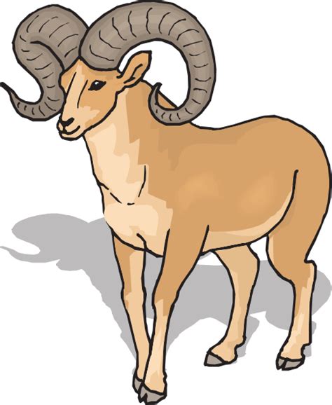 Bighorn Sheep Clipart Clipground