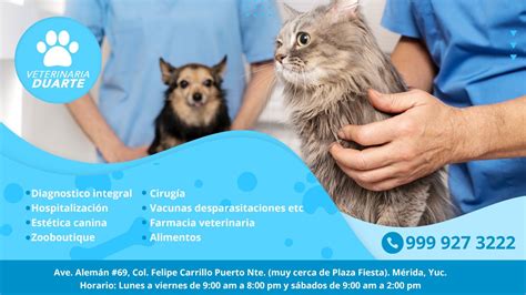 Zona Norte Veterinarios En Merida