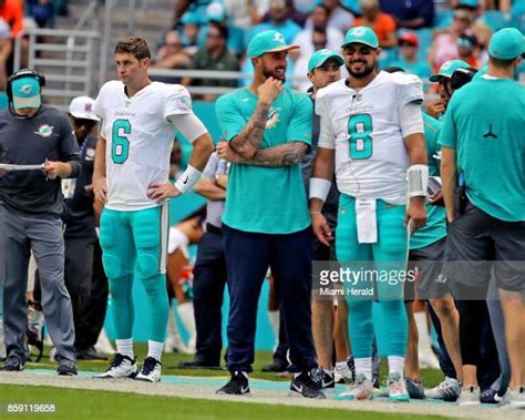 Jay Cutler Dolphins Photos And Premium High Res Pictures Getty Images