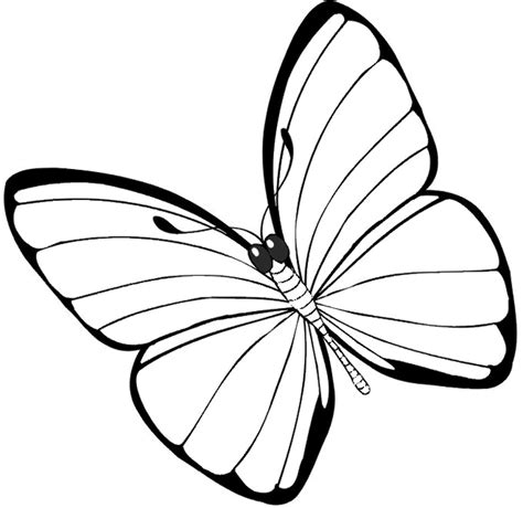 Butterfly Coloring Pages