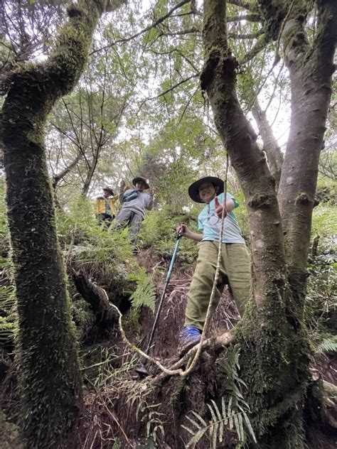 太平山 翠峰湖三星池 健行筆記