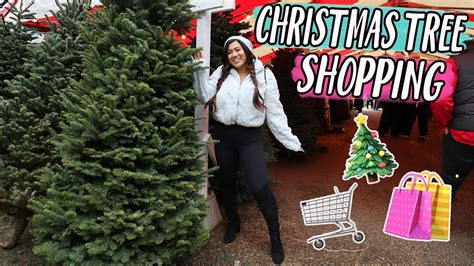 Getting My First Christmas Tree Vlogmas Day 1 Youtube