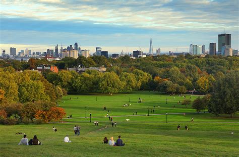 Rewilding London Government Business