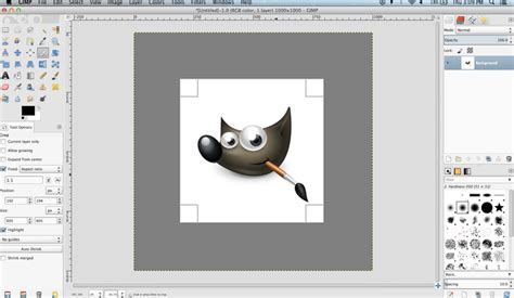 Six Free Alternatives To Adobe Illustrator NYFA