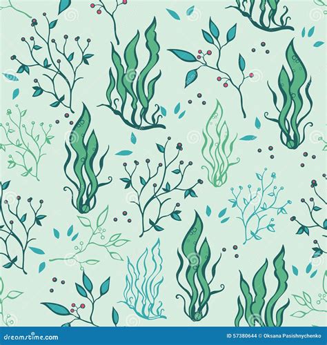 Vector Hand Drawn Seaweed Plants Ocean Life Stock Vector Illustration