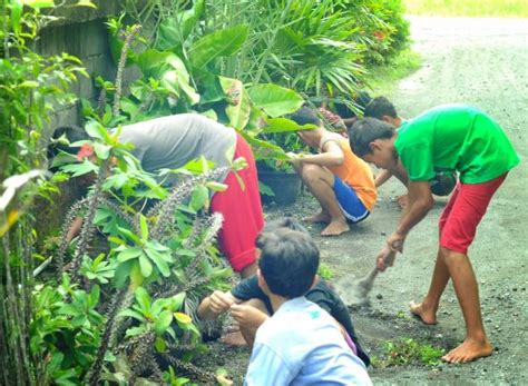 Menanamkan Nilai Nilai Kepedulian Lingkungan Melalui Ternak Unggas Pada