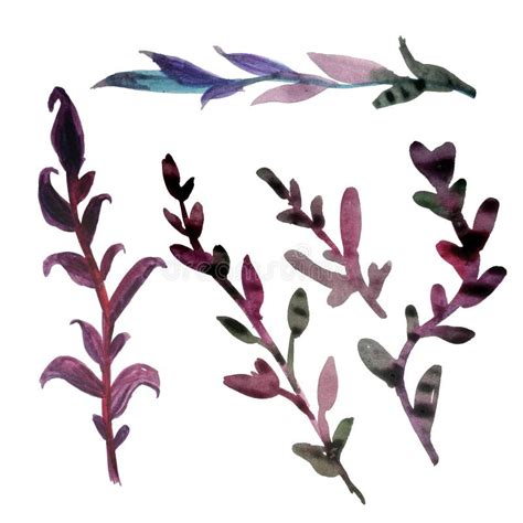 Set Of Leaves And Twigs Drawn By Hand With Watercolor On An Isolated