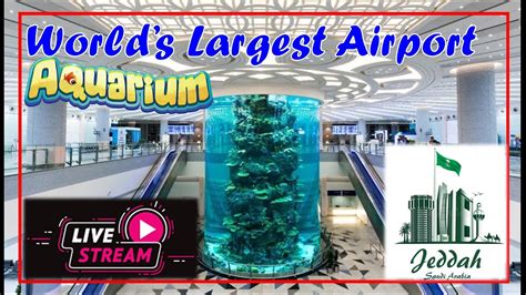 World Biggest Airport Aquarium New Jeddah Airport Youtube