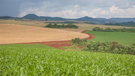 Fazenda Sustent Vel Inscri Es Est O Abertas Maranello Mercantil