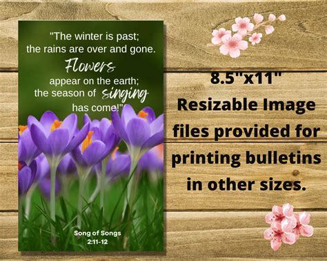 Printable Church Bulletin Covers SPRING Theme General Use Multiple ...