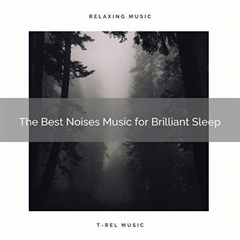 Play Best The Best Noises Music For Brilliant Sleep By White