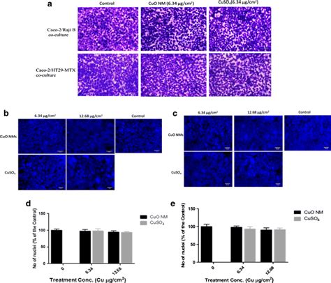 Impact Of Cuo Nms And Cuso On Co Culture Viability Cell Number And