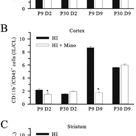 Effect Of Minocycline Treatment On Regional Microglial Counts Post Hi