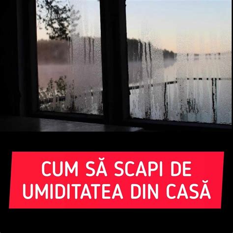 3 metode eficiente care te ajută să scapi de umiditatea din casă Îți