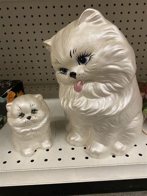 Mom & kitten : r/ThriftStoreCats