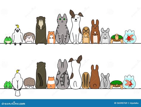 Pet Animals In Line, Front And Back Cartoon Vector | CartoonDealer.com ...