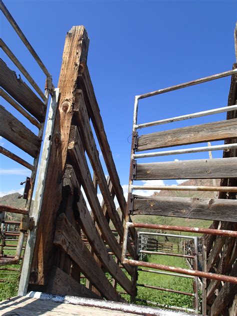 Fotos Gratis Arquitectura Madera Casa Techo Pasarela