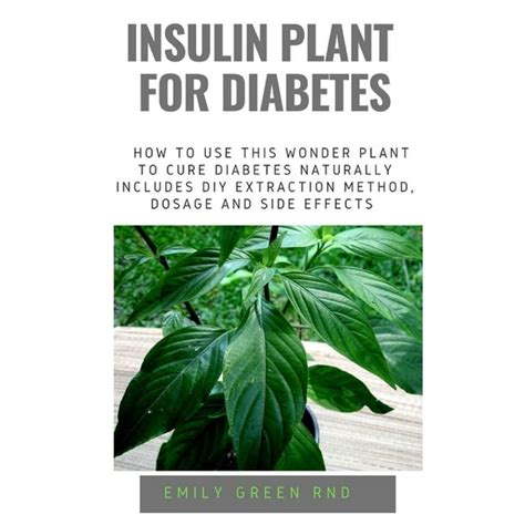 Insulin Plant for Diabetes: How to use this wonder plant to cure diabetes naturally includes DIY ...