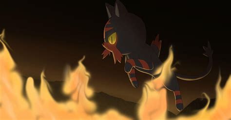 10 Litten Torracat Hd Wallpaper Pxfuel