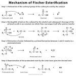 Fischer Esterification: Definition, Examples, and Mechanism