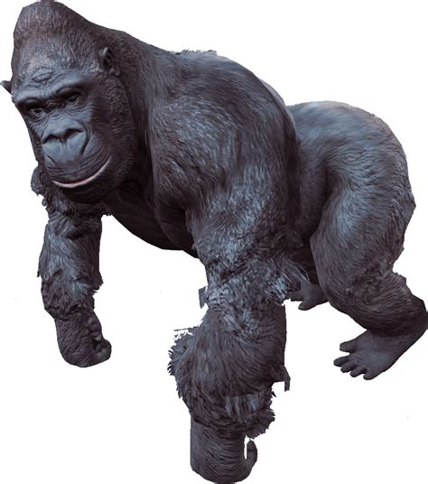 Gorilla Transparent Gorilla Clipart Large Size Png Image Pikpng