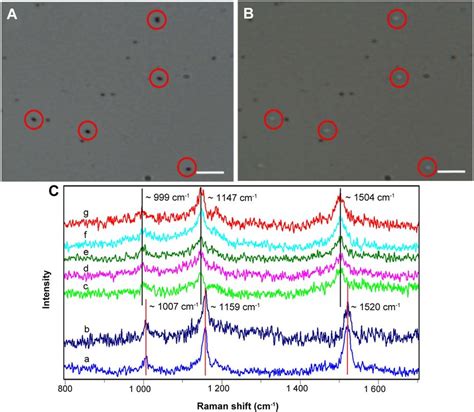 Raman Activated Cell Ejection Of CO 2 Fixing Microbes In The Sea Water