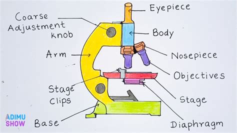 How To Draw A Simple Microscope Diagram Youtube