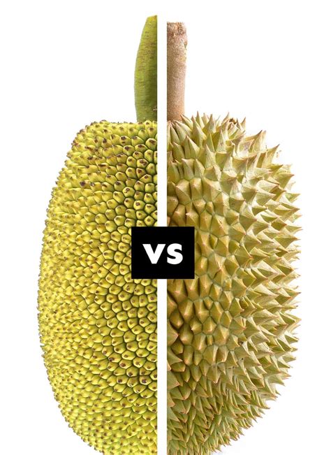 Durian Vs Jackfruit Unveiling The Exotic Fruits Distinctive