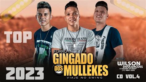 Forr Gingado Dos Mullekes Viaje No Swing Cd Novo Completo Vl