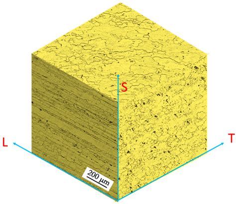 Metals Free Full Text The Effect Of Fatigue Damage On The Corrosion Fatigue Crack Growth