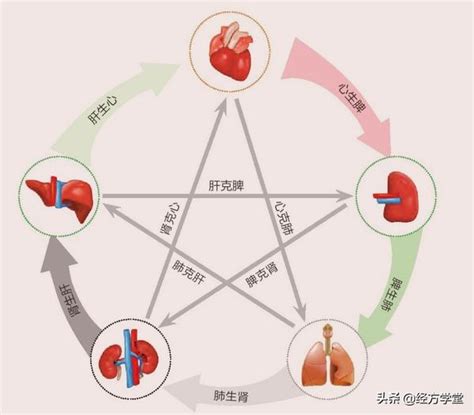 中医面诊之基础知识，五色 五味 五脏 五行 知乎