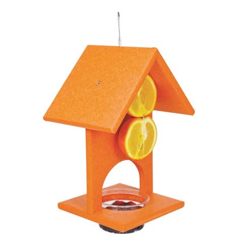 Songbird Essentials Fruit And Jelly Oriole Feeder