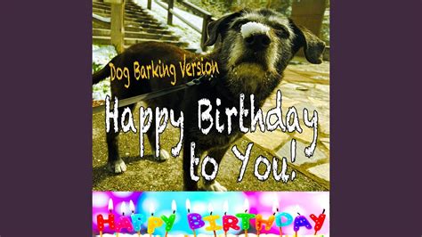 Happy Birthday To You Dog Barking Version Youtube