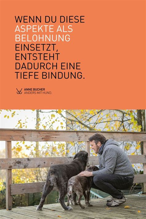 Belohnungen Im Hundetraining Hunde H Ndchen Training Hundetraining