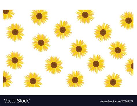 Sunflowers pattern in white background Royalty Free Vector