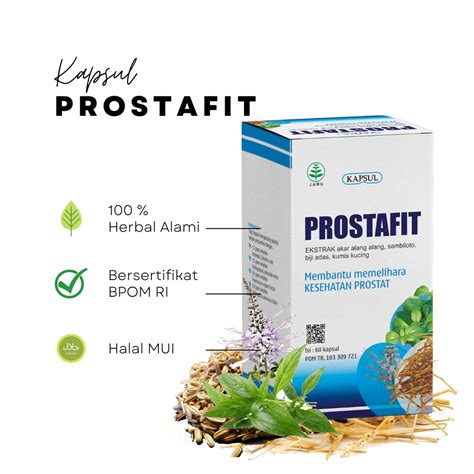 Jual Prostafit Obat Herbal Membantu Mengobati Penyakit Peradangan Prostat 60 Kapsul Original