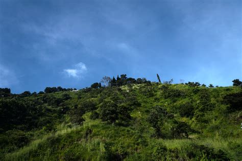 Fotos gratis paisaje mar costa árbol naturaleza bosque césped