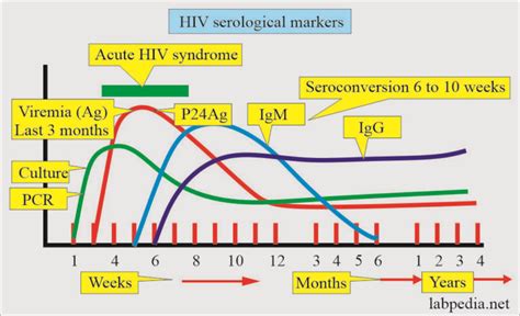 Human Immunodeficiency Virus Hiv Aids Acquired Immunodeficiency