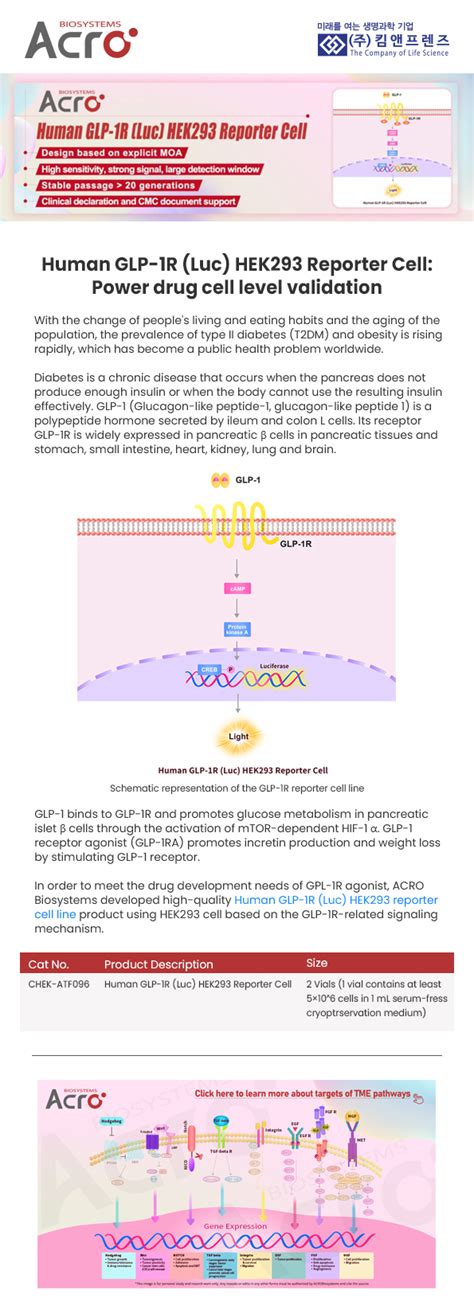 ACRO Biosystems Human GLP 1R Luc HEK293 Reporter Cell BRIC