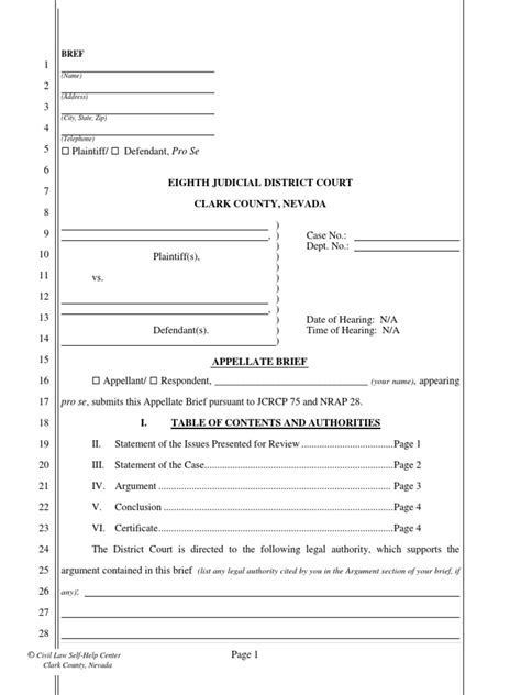 Eighth Judicial District Court Clark County Nevada Pdf Appeal