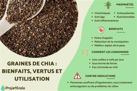 GRAINES DE CHIA BIENFAITS VERTUS Et UTILISATION