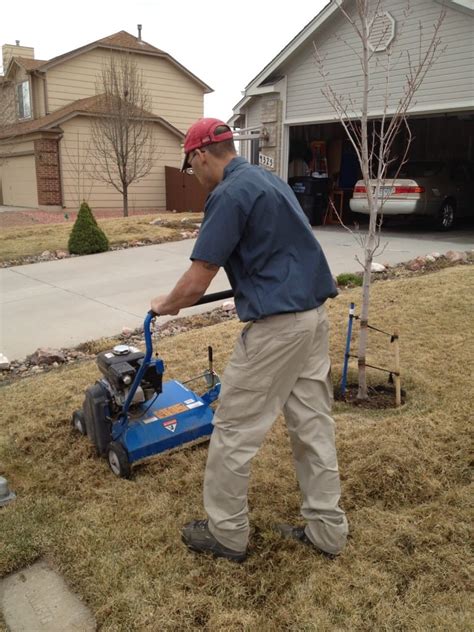 Power Raking Lawn Pros