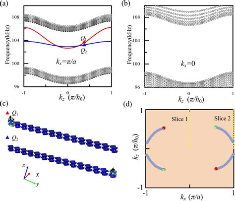 The Anomalous Chirality And Surface States Of Elastic Type Ii Pnc Along