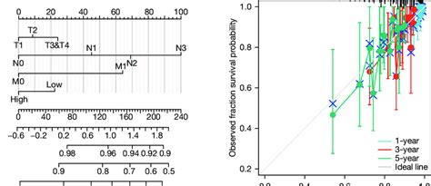 Nomograms And Calibration Plots For BRCA Patients A Nomogram For