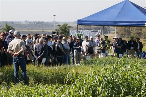 Dia De Campo Sobre Sustentabilidade Na Pecu Ria Recebe Mais De