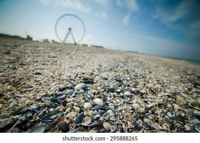 Ferris Wheels On Beach Stock Photo 295888265 Shutterstock