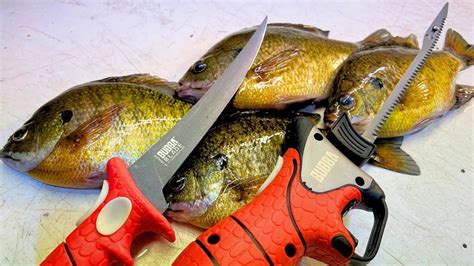 3 Ways To Fillet A Bluegill That Every Panfish Angler Should Know