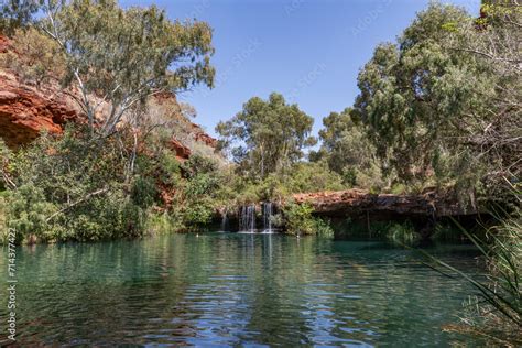 Picturesque Fern Pool Dales Gorge Karijini National Park Western