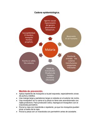 Cadena epidemiologica polio Cadena epidemiológica de la poliomielitis