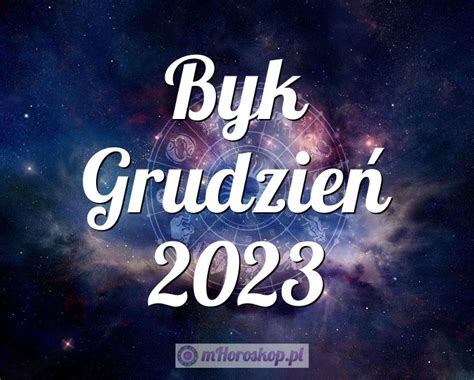 Horoskop Byk Grudzień 2023 horoskop miesięczny